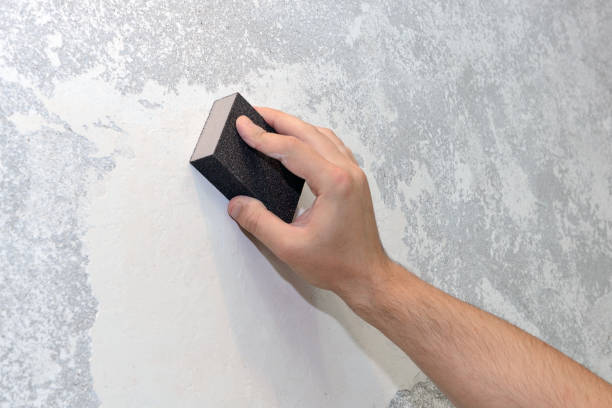 Best Mold Damage Restoration  in Rosend, LA