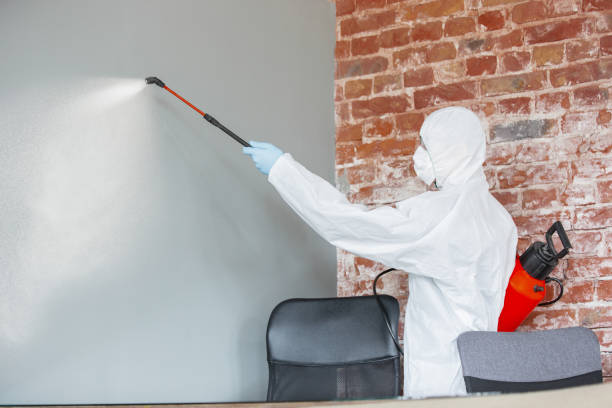 Best Dehumidification Services  in Rosend, LA