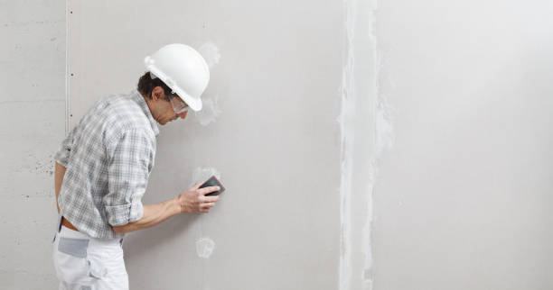 Best Post-Remediation Verification Testing  in Rosend, LA