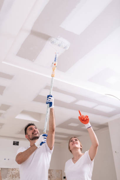 Best Mold Removal for HVAC Installations  in Rosend, LA