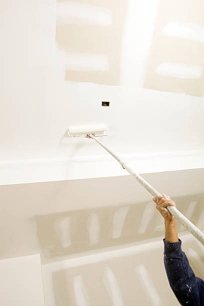 Best Mold Remediation for Rental Properties  in Rosend, LA