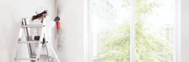 Best Mold Prevention Services  in Rosend, LA