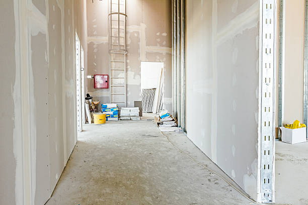 Best Asbestos and Lead Testing During Mold Inspection  in Rosend, LA