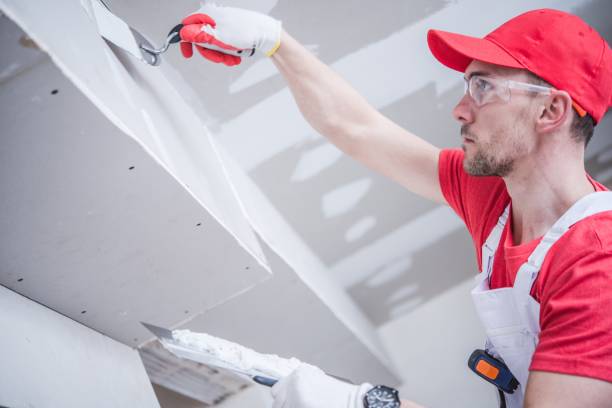 Best Environmental Consulting for Mold Prevention  in Rosend, LA
